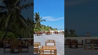 Maldive trip 2024 Full vlog on my channel budgetmaldives maldiveshotels thestandardmaldives [upl. by Anauqat]