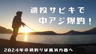 【波止釣り】遠投サビキで中アジ爆釣！ [upl. by Hsekar]