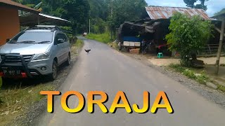 KEINDAHAN ALAM TORAJA  WISATA ALAM TORAJA [upl. by Kcirdor]