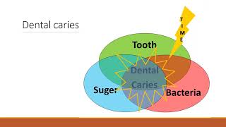 Dental Caries Diagnosis and Management in pediatric dentistry for 4th years JU student [upl. by Lucio968]