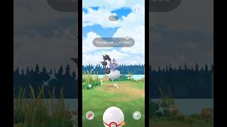 Getting Lucky With✨Shiny Thundurus Raid in pokemongo [upl. by Llechtim]