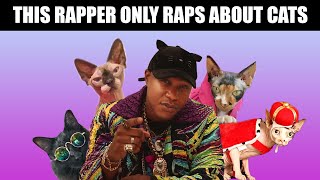 This Rapper Only Raps About Cats [upl. by Hudgens769]