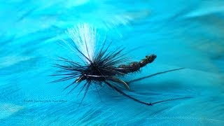 Tying a Parachute Hawthorn Fly Detached Body by Davie McPhail [upl. by Dyson383]