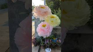 Giant Flower Peony Teksturorder wa 0895412529317 giantflower flowers bungadekorasi [upl. by Suidualc]