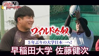 ラグビードキュメンタリー♯2 早稲田大学 佐藤健次 「荒ぶる」再び2024年4月2日 [upl. by Aneerehs]