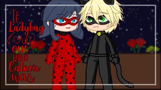 IF LADYBUG FOUND OUT WHO CATNOIR WAS  GCMM  MLB  GACHA CLUB [upl. by Gala]