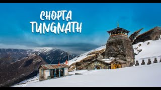 Chopta Tungnath Trek Walking Tour Chandrashila Chopta Village Cafe Home Stay Cheap Camp Stay [upl. by Alliuqat217]