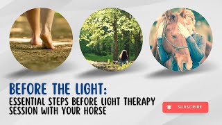 Before the Light Essential Steps for a Successful Horse Light Therapy Session [upl. by Norrv]