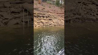 40FT OF WATER 2FT OFF THE BANK fishing smith lake deep spot bass fyp trending viralshort [upl. by Damal]