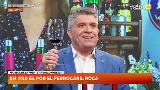 Probamos y conocemos Vinos de Río Negro con la sommelier Marisol de la Fuente en Hoy Nos Toca [upl. by Evvy]