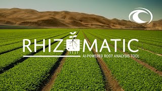 Rhizomatic  AIPowered Root Analysis amp Characterization Tool [upl. by Esinnej]