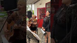 Año y Medio EN VIVO By Dorita La Parrandera Del Huila 🎸 doritalaparrandera guascarrilera shorts [upl. by Lemert]