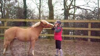 Séance de plat et liberté du 25 Janvier 2013  Mon poney mon bonheur ♥ [upl. by Annemarie174]