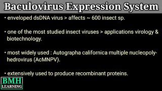 Baculovirus Expression Vector  Insect Virus  Baculovirus Expression system  BCV Insect Cell Lines [upl. by Bernice]