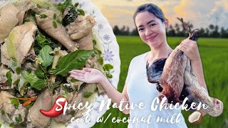 HalangHalang na Manok Bisaya with Fresh Gata  Best Native Chicken Recipe w Coconut Milk  PH [upl. by Pheni]