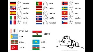 Agglutinative Altaic and Uralic Languages Comparison [upl. by Assilam]