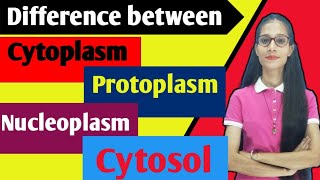 Difference between ProtoplasmCytoplasmCytosol Nucleoplasm  cell apnasapnajrf [upl. by Ladiv]