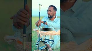 Ali dhaanto xarir axmed Qurbo jog duet jigjiga somalia jigjigayar love song darwiish [upl. by Nelra]