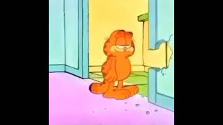 Garfield Eats Drywall and Walks away [upl. by Aynekal]