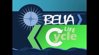 Obelia Life Cycle  SCBI208 Invertebrate Zoology [upl. by Airahcaz]