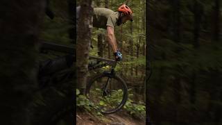 Pivot Firebird vs Yeti SB160 [upl. by Lubeck]