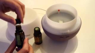 How to use a diffuser for your Essential Oils [upl. by Faria]