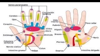 Presione estos Puntos de su Mano y espere ¡Los resultados te sorprenderán [upl. by Abrahan940]