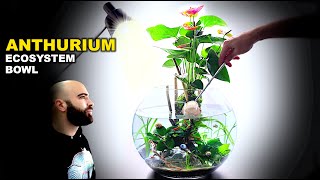 Anthurium Ecosystem Bowl AMAZING No Filter Aquarium Aquascape Tutorial [upl. by Colman358]