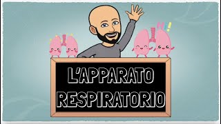 L Apparato Respiratorio [upl. by Trautman]