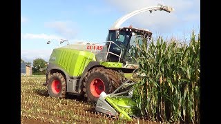 FD CUMA MORBIHAN  Ensilage maïs Shredlage Claas Jaguar 950 10 rangs par la CUMA du Scorff 2017 [upl. by Jobe478]