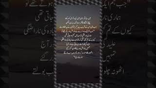 Me ne qabristan me aik admi ko DEKA quotes poetry urdupoetry explore viralvideo [upl. by Eirrotal]