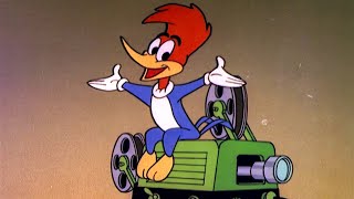 LIVE 247 🔴 Woody Woodpecker Original Classic TV Marathon  Join Woody LIVE [upl. by Danielson]