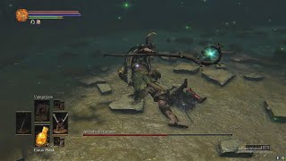 Archdruid Caimar  Dark Souls 3 The Convergence Mod [upl. by Finnie]