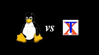 The Linux Virtual Terminal vs Xterm [upl. by Ladin472]