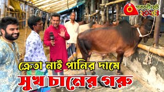 ক্রেতা নাই quotপানির দামে সুখ চান এর গরুquot গাবতলী গরুর হাট ২০২৪ [upl. by Fraser]