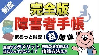 【完全版】「障害者手帳」メリット ＆ デメリットから申請方法まで！まるっと解説◎ [upl. by Aenea]