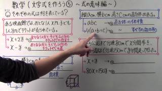 【中1数学】中116 文字式を作ろう⑤ 式の意味編 [upl. by Dorelle219]