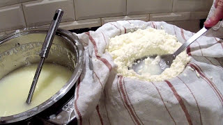 How to make a cheese rennet cheese  tutorial [upl. by Syhr]