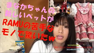 「厚切！柔らか！RAMU肉‼秘伝の味付け3150g」～まなかちゃんの新しいペットが、RAMUの苦手なモノで驚いたｗ～ SHOWROOM 2024年9月18日 [upl. by Acirretal637]