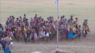 Umhlanga Reed Dance Ceremony in the Kingdom of Eswatini [upl. by Rezzani950]