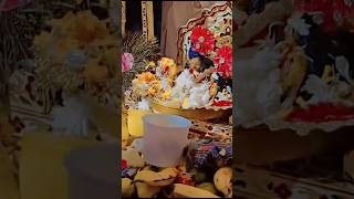 viralvideos lovefastival snehavilge [upl. by Chuipek838]