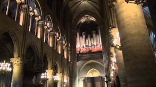 Notre Dame de Paris Noël Audition dorgue [upl. by Ennovyhs737]