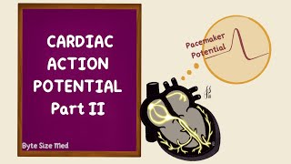 Sinoatrial Node Potential  Pacemaker Potential  Cardiac Action Potential 2  Cardiac Physiology [upl. by Ayifas]