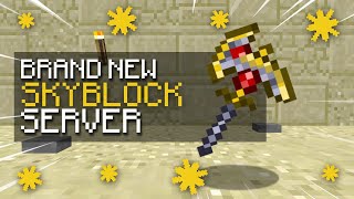 PLAYING ON THE BEST MINECRAFT SKYBLOCK SERVER [upl. by Milton908]