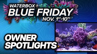 Waterbox Owners Show Off Stunning Aquariums [upl. by Anita983]