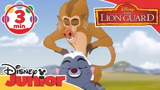 The Lion Guard  The Baboon Dance Song  Disney Junior UK [upl. by Aschim]