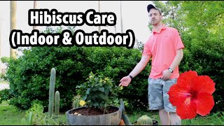 How to Care for a Hibiscus Indoor amp Outdoor [upl. by Olivann]