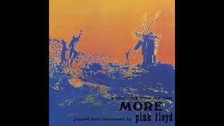 Pink Floyd  The Nile song [upl. by Atsyrc]