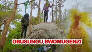 OBUSUNGU BWOMUGENZI UGANDAN MOVIE 1080p [upl. by Yacano]