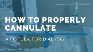 HOW TO PROPERLY CANNULATE A FISTULA in 2022 [upl. by Nalyac]